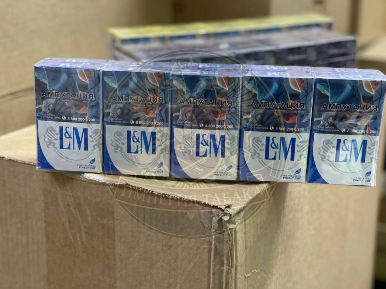 L&M LOFT & MOTION SERIES